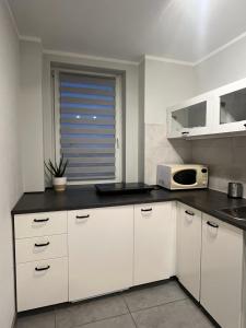 Kuchyň nebo kuchyňský kout v ubytování Apartamenty Na wzgórzu