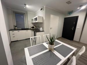 Kuchyň nebo kuchyňský kout v ubytování Apartamenty Na wzgórzu