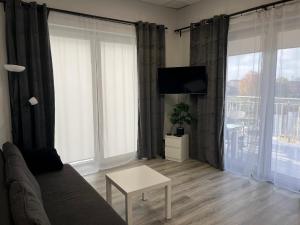 TV a/nebo společenská místnost v ubytování Apartamenty Na wzgórzu