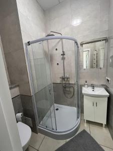 y baño con ducha, aseo y lavamanos. en Apartamenty Na wzgórzu en Ińsko