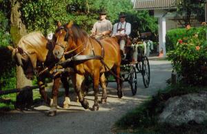 two men riding a horse drawn carriage down a street at Gasthof Tell in Paternion