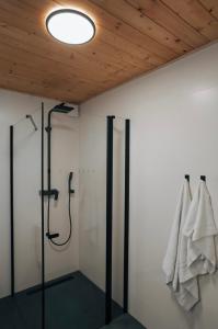 HopenにあるLofoten Cabinsのバスルーム(シャワー、タオル付)が備わります。