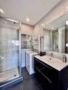 uma casa de banho com um lavatório e um chuveiro em Appt lumineux avec terrasse cœur de ville 35 m² em Saint-Raphaël