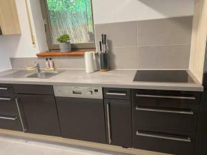 a kitchen with a sink and a counter top at Wohnen in Weinbergsnähe in Würzburg
