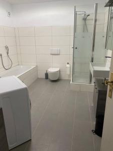 La salle de bains blanche est pourvue d'une douche et de toilettes. dans l'établissement Wohnen in Weinbergsnähe, à Wurtzbourg