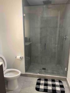 ein Bad mit einer Dusche, einem WC und einem Teppich in der Unterkunft Vibrant Studio Downtown Miami in Miami