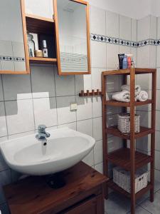 ein Badezimmer mit einem Waschbecken, einem Spiegel und Regalen in der Unterkunft Charmante Ferienwohnung in Dresden Striesen - Frau Pie Appartement in Dresden