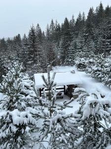 a picnic table covered in snow in a forest at Respect in Mykulychyn