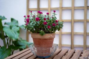 un vaso di fiori appoggiato su un tavolo di legno di Bonito piso en San Ildefonso - Centro a Jaén