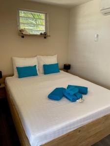 Giường trong phòng chung tại Bella Blue Bonaire 2