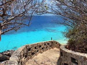 겨울의 Bella Blue Bonaire 2