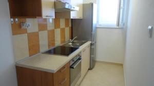 Kuchyň nebo kuchyňský kout v ubytování Apartments Tomi