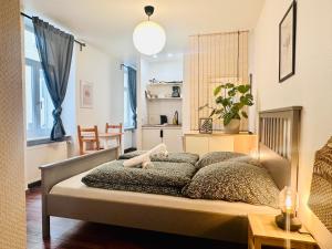 ein Schlafzimmer mit einem Bett und ein Wohnzimmer in der Unterkunft Saale, Marktplatz Zentrum, Apartmenthaus am Dom von Plant Room in Halle an der Saale