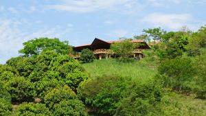 a house on top of a hill with trees at Selva Serena in Anapoima