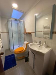 uma casa de banho com um chuveiro, um lavatório e um WC. em Patagonia Tower em Puerto Natales