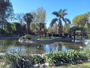 un estanque en un parque con palmeras en Finca El Milagro en Salta