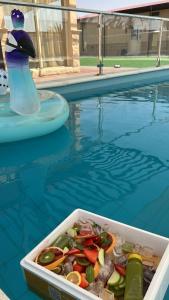 a container of vegetables in a swimming pool with a bottle at Marbella Resort in Al Ain