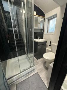 a bathroom with a shower and a toilet at 10 Minutes to Central London Vaux in London