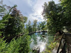 a view of a river with trees and a bridge at Cozy Apt Near Prague Castle in Prague