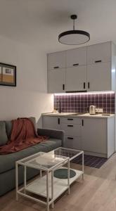 Η κουζίνα ή μικρή κουζίνα στο Tina`s Apartment (Gudauri)