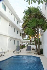 莫雷洛斯港的住宿－Edifico con departamentos amplios cerca de la playa，一座带两把椅子和一棵棕榈树的建筑前的游泳池