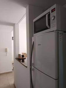 La cuisine est équipée d'un four micro-ondes et d'un réfrigérateur. dans l'établissement DEPTO 2 Y 62 CON COCHERA PROPIA, à La Plata