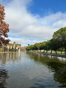 a pond with a fountain in a park at Cuevas Bajas in Madrid