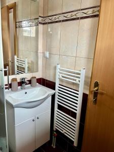 W łazience znajduje się umywalka i lustro. w obiekcie Sara Apartments Pridolci w mieście Kozica