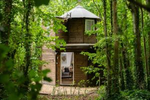 a small house in the woods with a window at Honeycombe - Treehouse in the Heart of Dorset in Blandford Forum