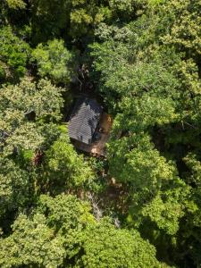 una vista aérea de un banco de madera en medio de árboles en Kooteja Kätalina, 
