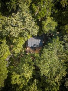 una vista aérea de una casa en medio de los árboles en Kooteja Kätalina, 