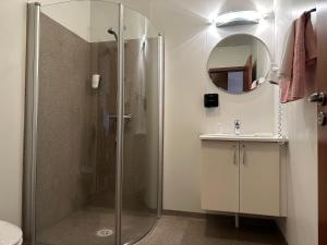 a bathroom with a shower and a sink at Staðarflöt Apartments in Hvammstangi