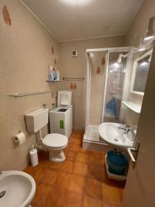y baño con aseo, lavabo y ducha. en A Casa Dei - Appartamento Colle Isarco, en Colle Isarco
