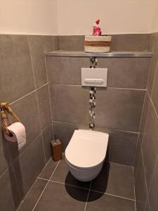 een badkamer met een toilet en een plank erboven bij Nouveau T2 2/3 couchages La Bresse in La Bresse