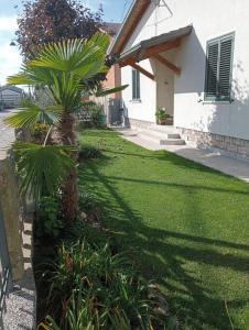 a palm tree in a yard next to a house at Casa Il giardino in Ca degli Oppi