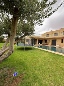 un frisbee azul sentado en la hierba junto a un árbol en Villa 7palms, en Marrakech