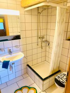 a bathroom with a shower and a sink at Ferien auf dem Birkenhof in Herisau