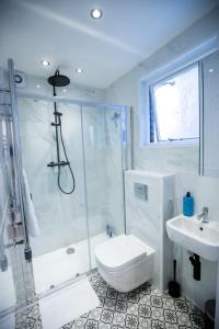 a bathroom with a shower and a toilet and a sink at SO-LUX in Belfast