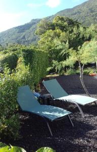dwa leżaki siedzące na ziemi obok drzew w obiekcie Sunflower Guest House - Pico w mieście São Caetano