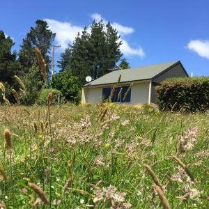 SpringfieldにあるSunrise Mountain View Cabin Retreatの家を背景にした草原