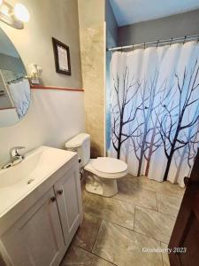 a bathroom with a toilet and a shower curtain at Lovely! near Cleve Clinic/UH/CWRU/Dwntwn w/porch in Cleveland