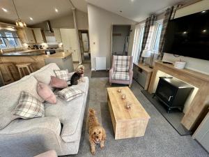 a living room with two dogs sitting on a couch at Luxury 3 bedroom Maple View Lodge, Newquay, Cornwall in Newquay