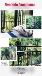 a collage of photos of a jungle with a bed at River Side Guest house in Maskeliya