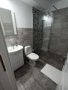 Un baño con inodoro, lavabo y ducha. en Old Town Studio 1 apartment nr 1, en Baia Mare 44 fotos más