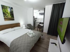 Un dormitorio con una cama y un escritorio con una silla. en Old Town Studio 1 apartment nr 1, en Baia Mare