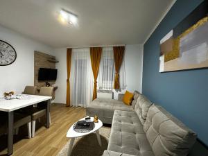 TV a/nebo společenská místnost v ubytování Apartmani Lotus Vrdnik