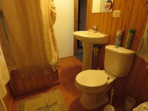 a bathroom with a toilet and a sink at Hostal Tintica Buey Puerto Fuy in Puerto Fuy