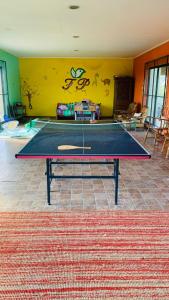 a ping pong table in the middle of a room at Finca Piedra in Mal Abrigo
