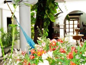 Zahrada ubytování Hotel Casa de Las Palmas