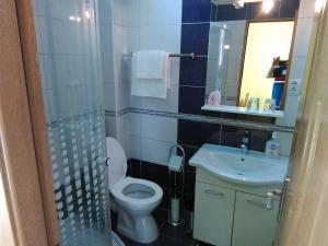 a bathroom with a toilet and a sink at Casa Anda in Sibiu